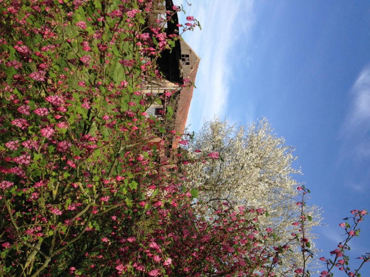 Vlezenbeek B&B Bekersveld المظهر الخارجي الصورة