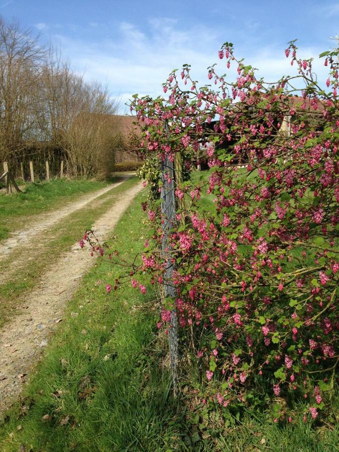 Vlezenbeek B&B Bekersveld المظهر الخارجي الصورة